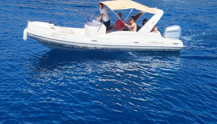 WhatsApp Slika 2024-05-20 u 12.09.37_cc5d35af WhatsApp Slika 2024-05-20 u 12.09.37_cc5d35af